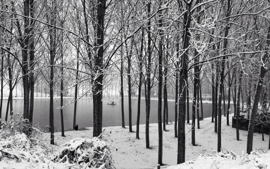 STAGNO LOMBARDO – LA NEVICATA DI FINE 2014