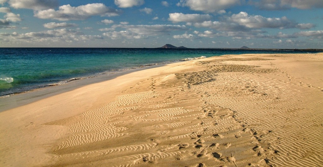 CAPOVERDE – LUPI DI MARE, ARAGOSTE E BALENE