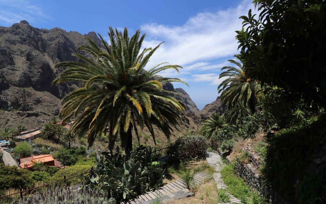 TENERIFE: MASCA